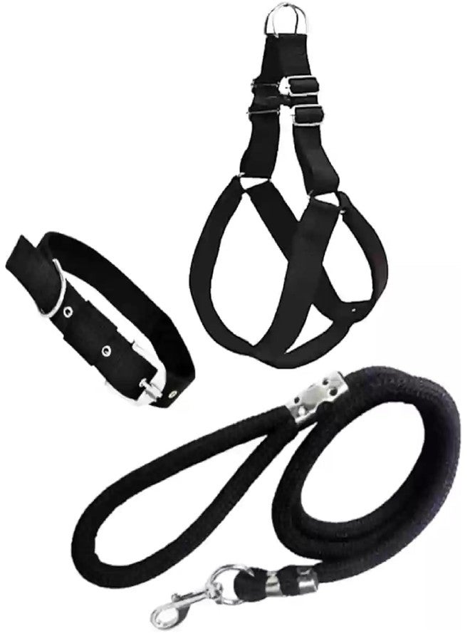 Agirav No Pull Dog Harness - Step in Dog Harness and Leash for Small Medium Large Dog - Escape Proof Adjustable Soft Leash Collar Set for Walking Training Hiking Outdoor, 15 Cm, 15 Cm - Image 1